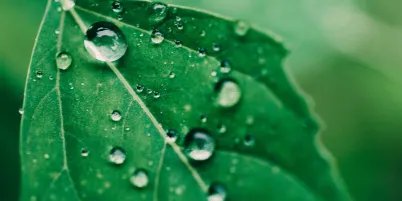 HeiQ Eco Dry - Durable water repellency (DWR) without fluorine