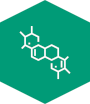 Icon_formular_small