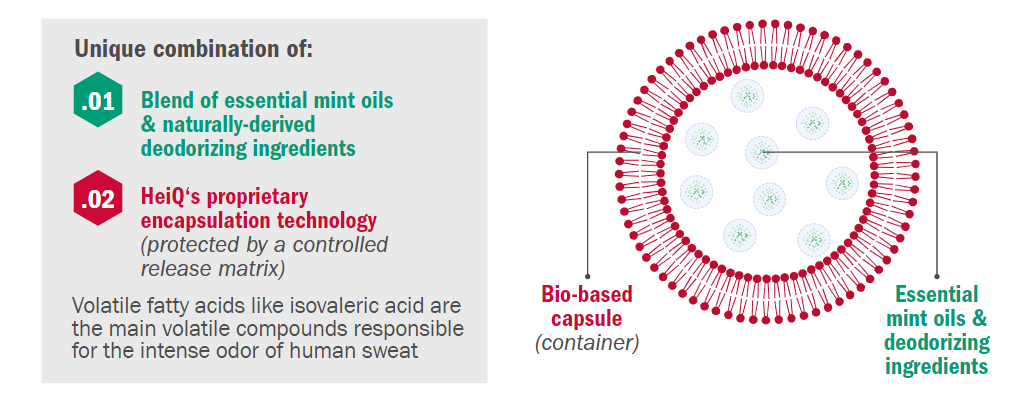 thes-science-behind-heiq-mint-