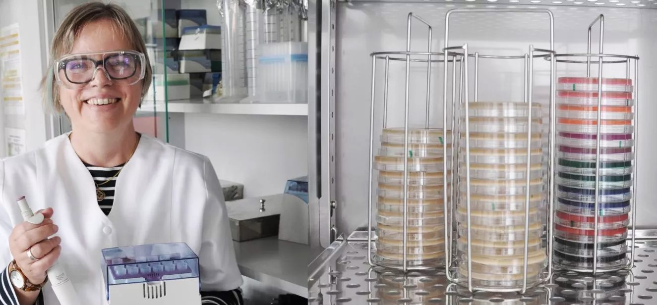Woellner_Waropure_lab